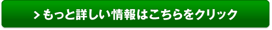 スラリーフ販売サイトへ